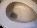 Glodfish being flushed Glodfish being flushed