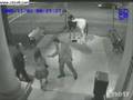 Drunks Try To Get On Horse Sculpture