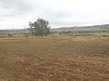 Baja Aragon 2007