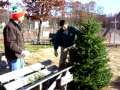 How to package a Christmas tree
