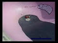 RC Monster skatepark trails RC Monster skatepark trails