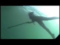 Diving in Kristiansund, Norway