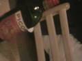 videos de Picon Horizontal Vertical