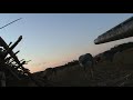 Snow goose dialogue + barrel cam kills Snow goose dialogue + barrel cam kills