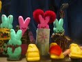 Project Peepway