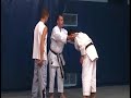 demo attaques poings genou
g. sitzia 4 eme dan - j. dupond

petit dojoi mourenx-64-