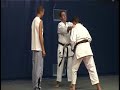 demo attaques poings genou
g. sitzia 4 eme dan - j. dupond

petit dojoi mourenx-64-