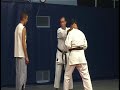 demo attaques poings genou
g. sitzia 4 eme dan - j. dupond

petit dojoi mourenx-64-