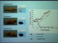 Dr. Robert Langer's talk is the inaugural keynote for a new Invitrogen-UC San Diego Frontiers in Biotechnology Distinguished Seminar Series, organized by the Jacobs School of Engineering and sponsored by Invitrogen.Advances in drug delivery and tissue engineering are revolutionizing medical therapies. New drug delivery technologies including novel polymers and intelligent microchips promise to create new treatments for cancer, heart disease and many other illnesses. Furthermore, by combining mammalian cells with synthetic polymers, new approaches for engineering tissues are being developed that may someday help repair tissues for patients with burns, damaged cartilage, paralysis and vascular disease.