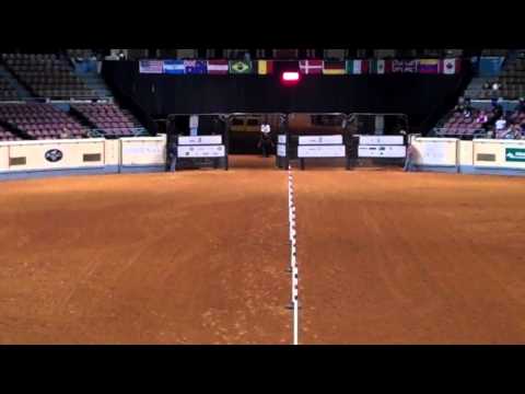 FINAL EM OKLAHOMA AQHA WORLD SHOW ( Prova de Baliza ) - PETRUS PEIXOTO - 20,990s
