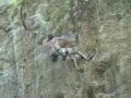 Arrampicata a Brasile Brazil climbing Rafa [Bam Bam]