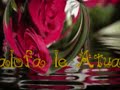 alofa le Atua