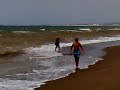 videos Surf