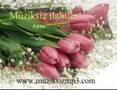 M�ziksiz ilahiler 09   Anne