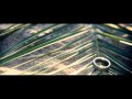 Stephanie & Cory Williams Trash the Dress Trailer