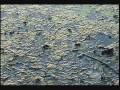 Ketrina Overcome Montage.wmv