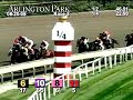 ARLINGTON PARK, 2008-08-20, Race 3
