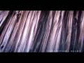 Skepticism - Alloy - The Curtain (High Quality)