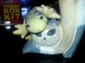 Larry The Lizard(Joke)