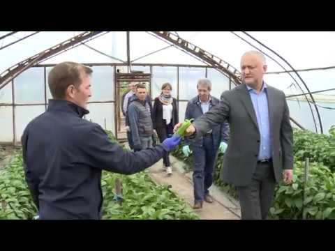 Șeful statului s-a familiarizat cu activitatea a doi agenți economici din raionul Cahul