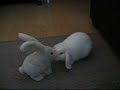 rabbit massage