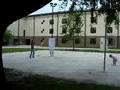 WATER BALLOON VOLLEY BALL