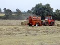 Massey ferguson baling hay with hesston baler 4700 Massey ferguson baling hay with hesston baler 4700