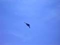 Air-Show-Ft-Lauderda