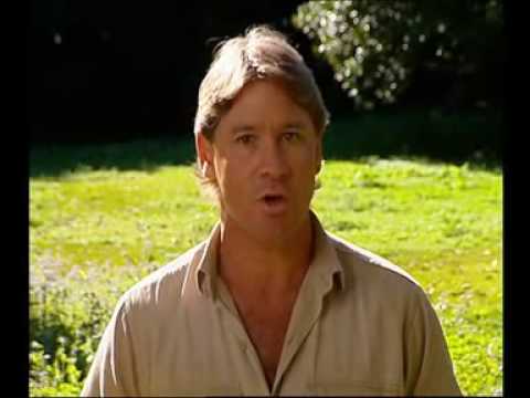 Steve Irwin - Most Dangerous Encounters (Part 7)