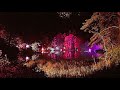 enchanted forest at pitlochry perthshire