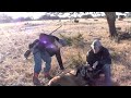 Christmas Ram Hunt