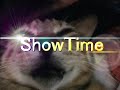 show time cat cm王国コンテスト