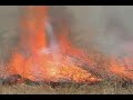 Eco Agriculture Development Project in Hambanthota Sri Lanka
