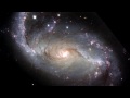 fly into space --- there is much more than we can imagine --- enjoy videoedit: arrivingsomewhere music: archive song: fool