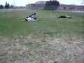 a foot ball game