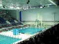 thomas daley qualifies for beijing olympic diving