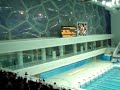 thomas daley qualifies for beijing olympic diving