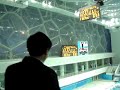 thomas daley qualifies for beijing olympic diving