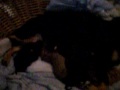la negra jacinta XD jajaja!