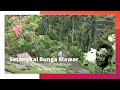 Lagu lagu Indonesia dan Maluku