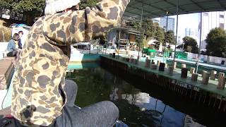 師匠による 渋~い 動画ですよ チラッと。