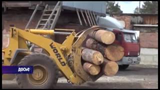 Постановка на учет всех пунктов приемки и отгрузки древесины