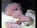 \"Free Me\" Goldfinger video