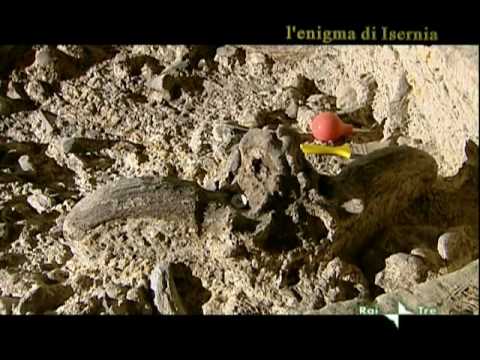 Immagine anteprima YouTube