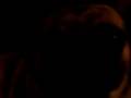 videos de meet lizzy the pug