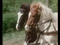 Nicki und die Ponybande - Pony hopp, ja du musst laufen Nicki und die Ponybande - Pony hopp, ja du musst laufen