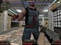 Brain Bread Guide