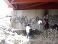 DMJC (MURO ILEGAL EN HUANCAYO)