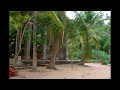 Cambodia Slideshow 04 - Angkor Thom, Ta Phrom, Angkor Wat