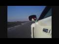 Budez GTR Aeromotions Wing Test
